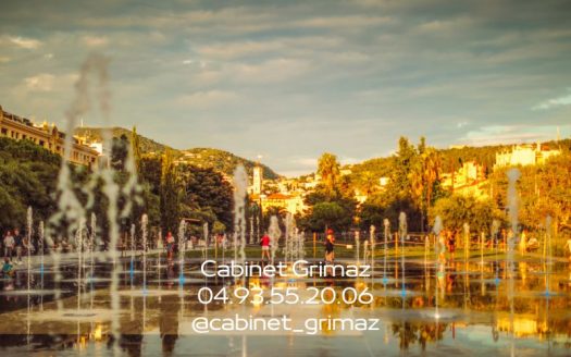 GRI2018 – Coffe Shop Glacier Creperie Salon de Thé Saladerie – NICE