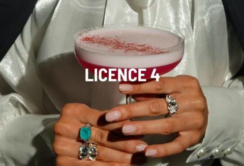 GRI2027 – Licence débit de boissons à la vente – NICE
