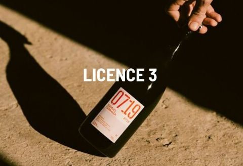 GRI2038 – Licence débit de boissons à la vente – MOUGINS