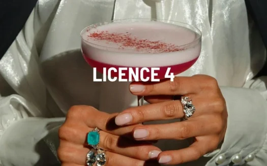 Licence IV à vendre – Nice – 32 600 € FAI